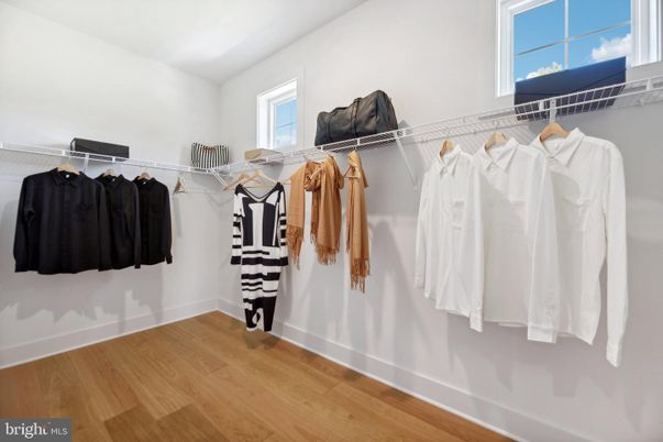Interior, Walk-in Closets, Wood Texture Flooring