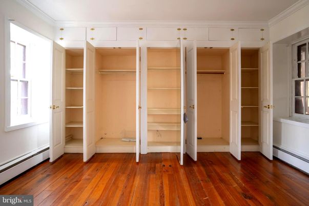 Interior, Walk-in Closets, Wood Texture Flooring