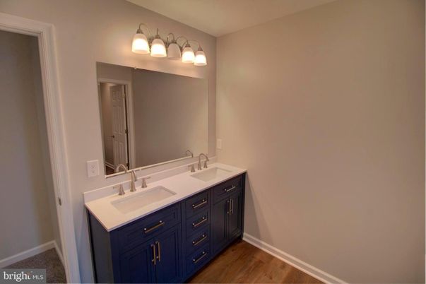 Bathroom, Dual Sink Vanities, Interior, Wood Texture Flooring