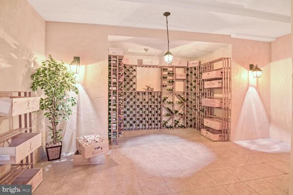 Interior, Pendant Lights, Wine Storage