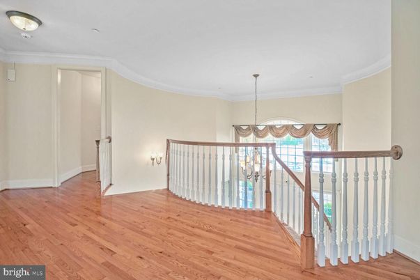 Chandelier, Interior, Wood Texture Flooring