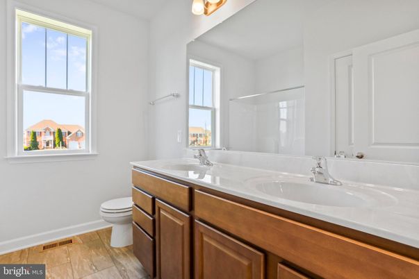 Bathroom, Dual Sink Vanities, Interior, Wood Texture Flooring