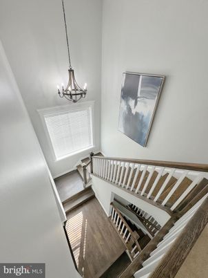 Chandelier, Interior, Wood Texture Flooring