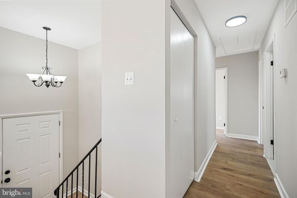 Chandelier, Interior, Wood Texture Flooring