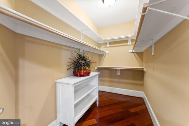 Interior, Walk-in Closets, Wood Texture Flooring