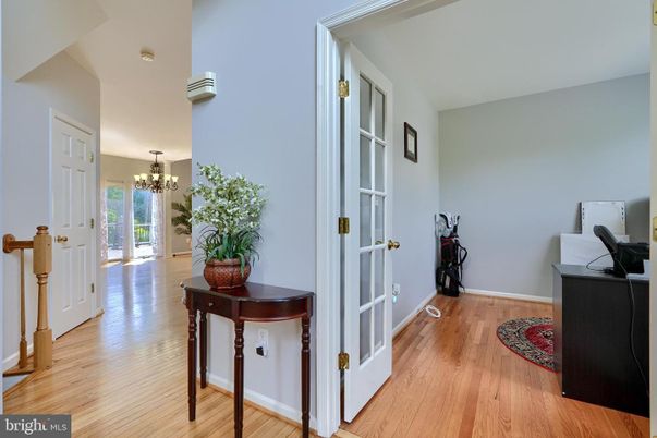 Chandelier, Interior, Wood Texture Flooring