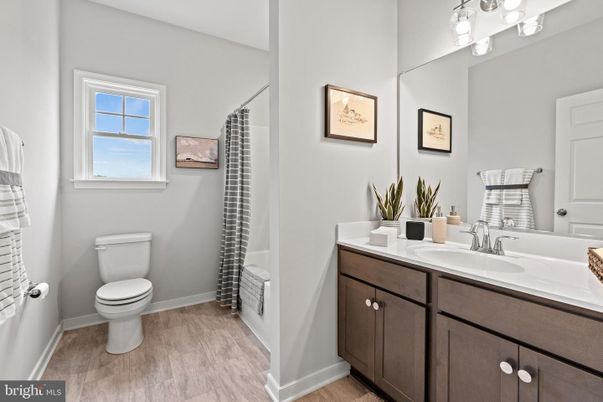 Bathroom, Interior, Wood Texture Flooring