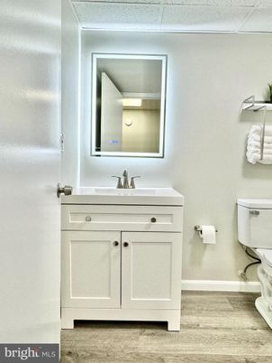 Bathroom, Interior, Wood Texture Flooring