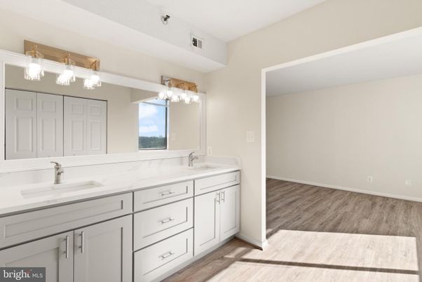 Bathroom, Dual Sink Vanities, Interior, Wood Texture Flooring