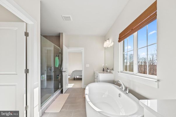 Bathroom, Free Standing Baths, Glass Shower, Interior