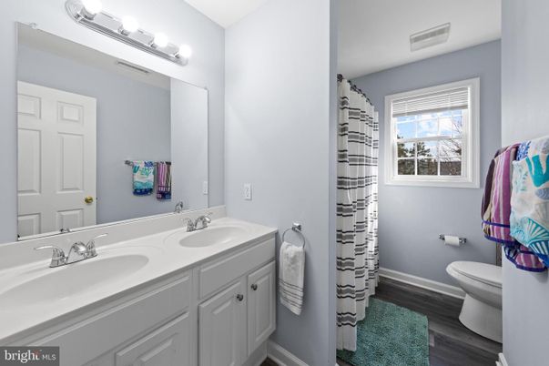 Bathroom, Dual Sink Vanities, Interior, Wood Texture Flooring