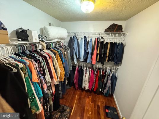 Interior, Walk-in Closets, Wood Texture Flooring