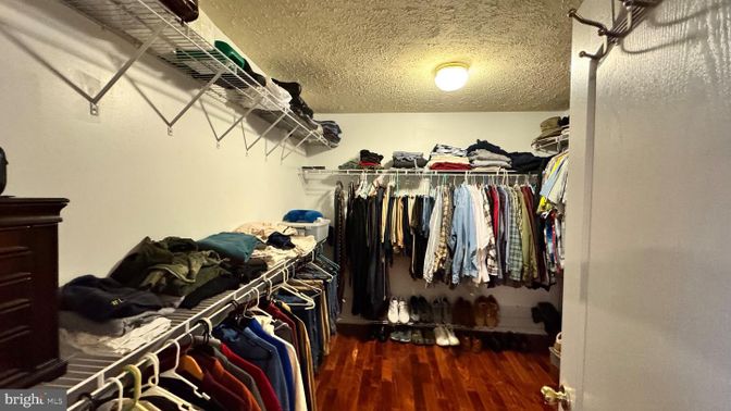 Interior, Walk-in Closets, Wood Texture Flooring