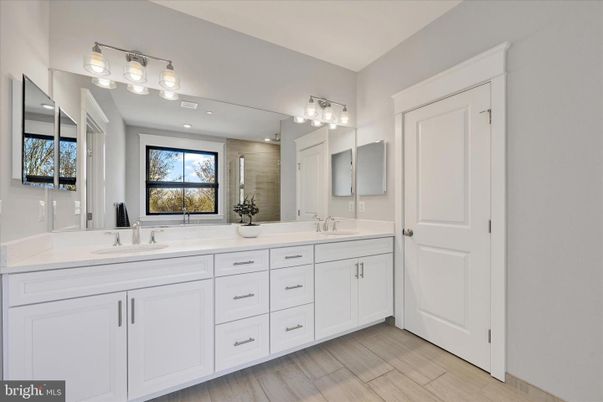 Bathroom, Dual Sink Vanities, Interior, Wood Texture Flooring