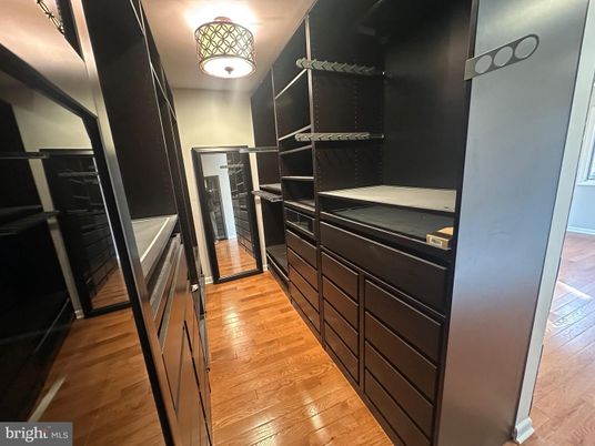 Interior, Walk-in Closets, Wood Texture Flooring