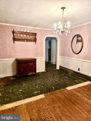 Chandelier, Interior, Wood Texture Flooring