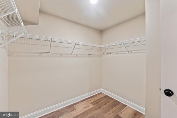 Interior, Recessed Lighting, Walk-in Closets, Wood Texture Flooring