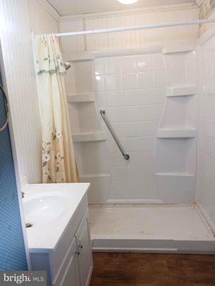 Bathroom, Interior, Wood Texture Flooring