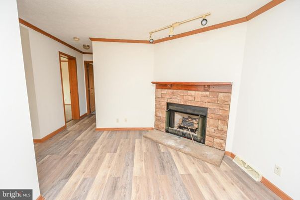 Empty room, Fireplace, Interior, Wood Texture Flooring