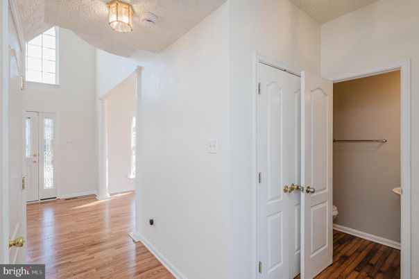 Interior, Wood Texture Flooring