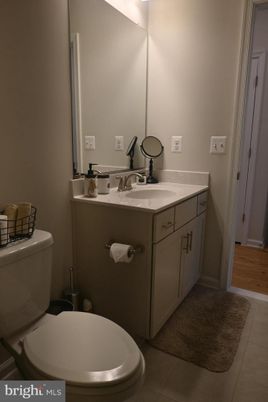 Bathroom, Dual Sink Vanities, Interior, Wood Texture Flooring