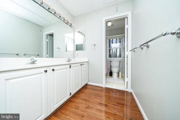 Bathroom, Dual Sink Vanities, Interior, Wood Texture Flooring