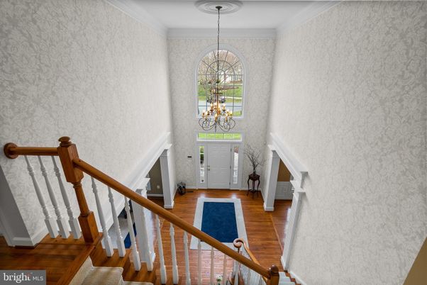 Chandelier, Interior, Pendant Lights, Wood Texture Flooring