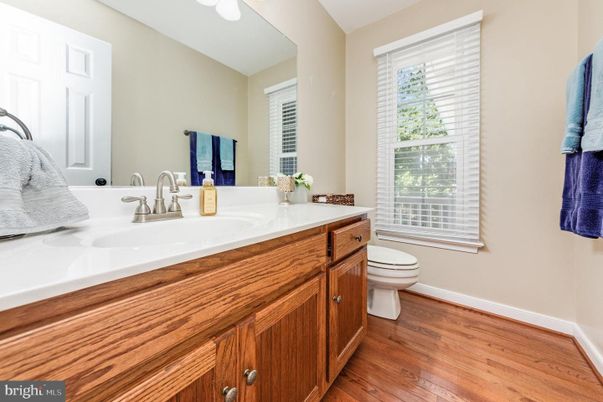 Bathroom, Dual Sink Vanities, Interior, Wood Texture Flooring