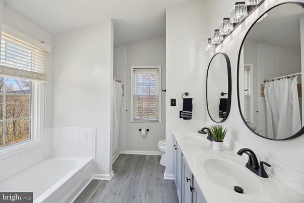 Bathroom, Dual Sink Vanities, Interior, Wood Texture Flooring
