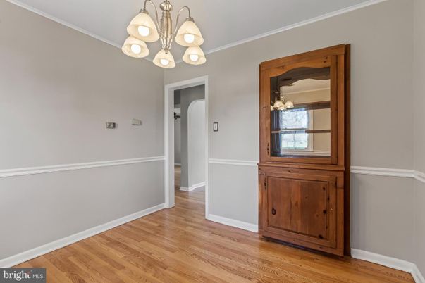 Chandelier, Interior, Wood Texture Flooring