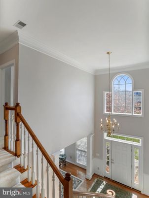 Chandelier, Interior, Wood Texture Flooring