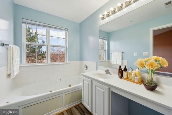 Bathroom, Dual Sink Vanities, Interior, Wood Texture Flooring