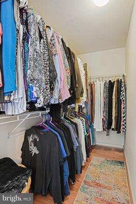 Interior, Walk-in Closets, Wood Texture Flooring
