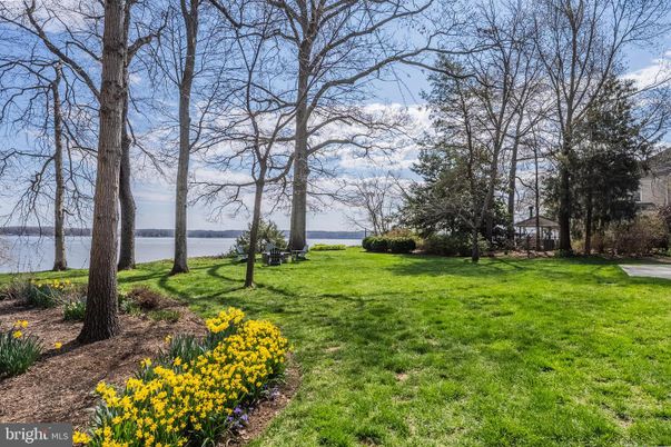 Backyard, Exterior, Lake, Water
