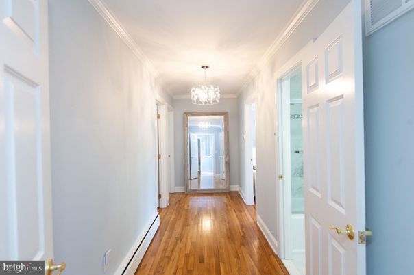 Chandelier, Interior, Wood Texture Flooring