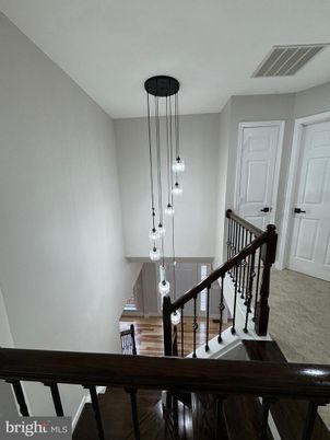 Interior, Pendant Lights