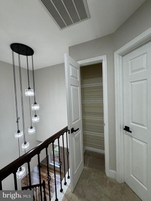 Interior, Pendant Lights