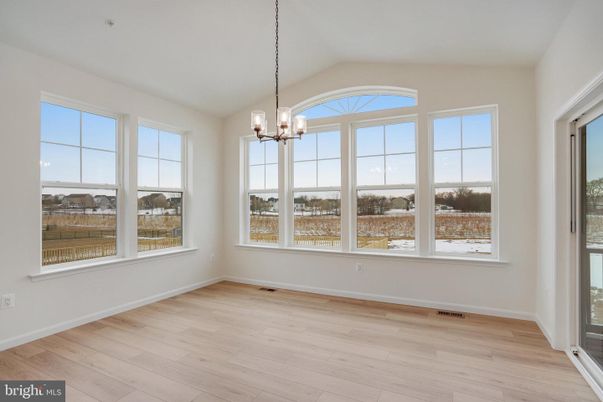 Empty room, Interior, Pendant Lights, Wood Texture Flooring