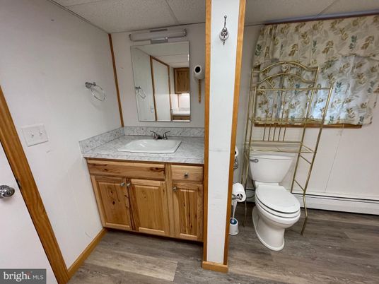 Bathroom, Interior, Wood Texture Flooring