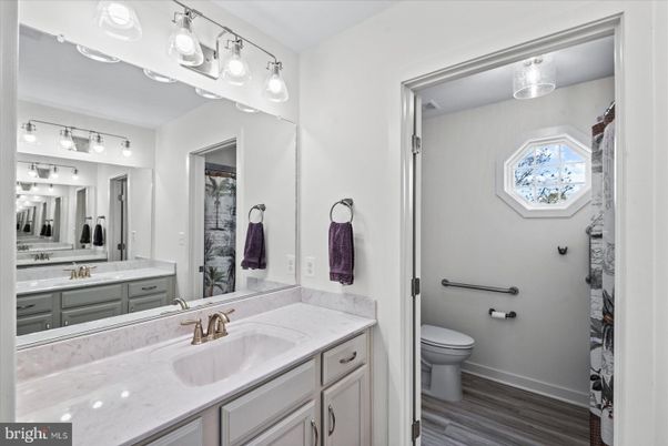 Bathroom, Dual Sink Vanities, Interior, Wood Texture Flooring