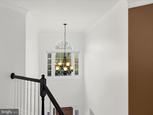 Chandelier, Interior, Pendant Lights