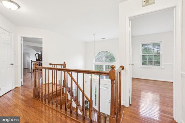 Chandelier, Interior, Wood Texture Flooring