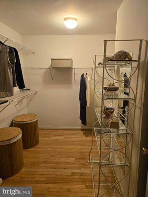 Interior, Walk-in Closets, Wood Texture Flooring