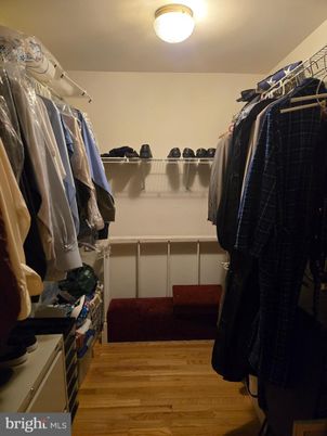 Interior, Walk-in Closets, Wood Texture Flooring