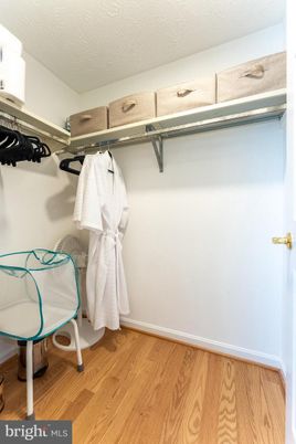 Interior, Walk-in Closets, Wood Texture Flooring