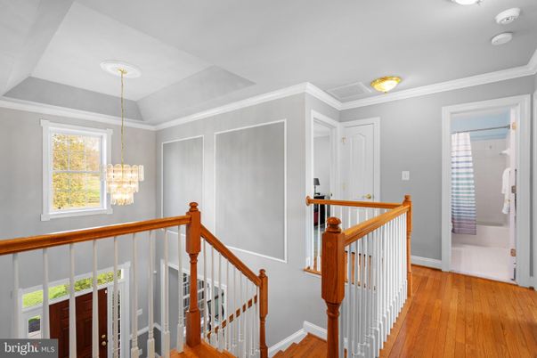 Chandelier, Interior, Wood Texture Flooring