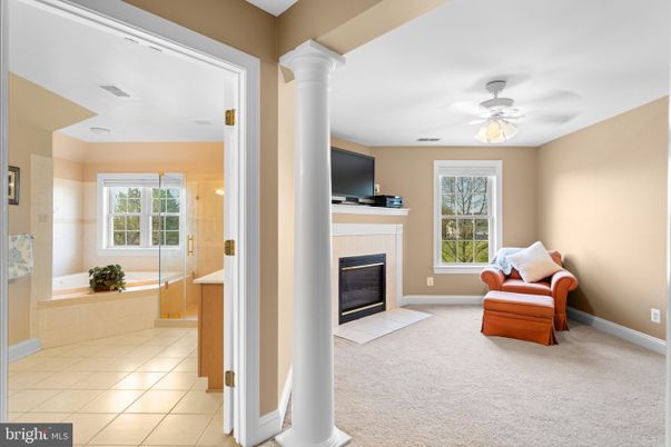 Bathroom, Fireplace, Interior