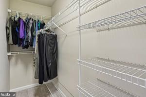 Interior, Walk-in Closets, Wood Texture Flooring