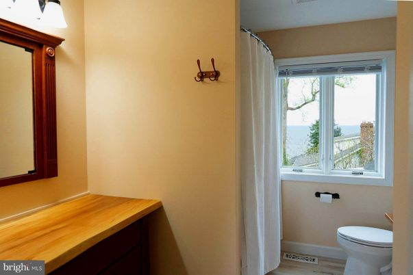 Bathroom, Interior, Water, Wood Texture Flooring