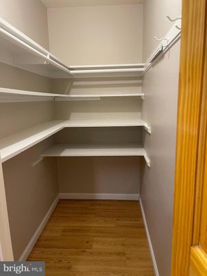 Interior, Walk-in Closets, Wood Texture Flooring